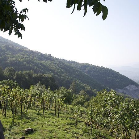Fattoria Alvaneta Padula Exteriör bild