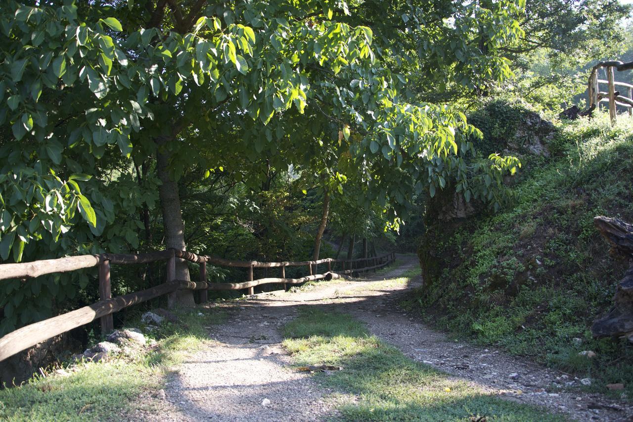 Fattoria Alvaneta Padula Exteriör bild