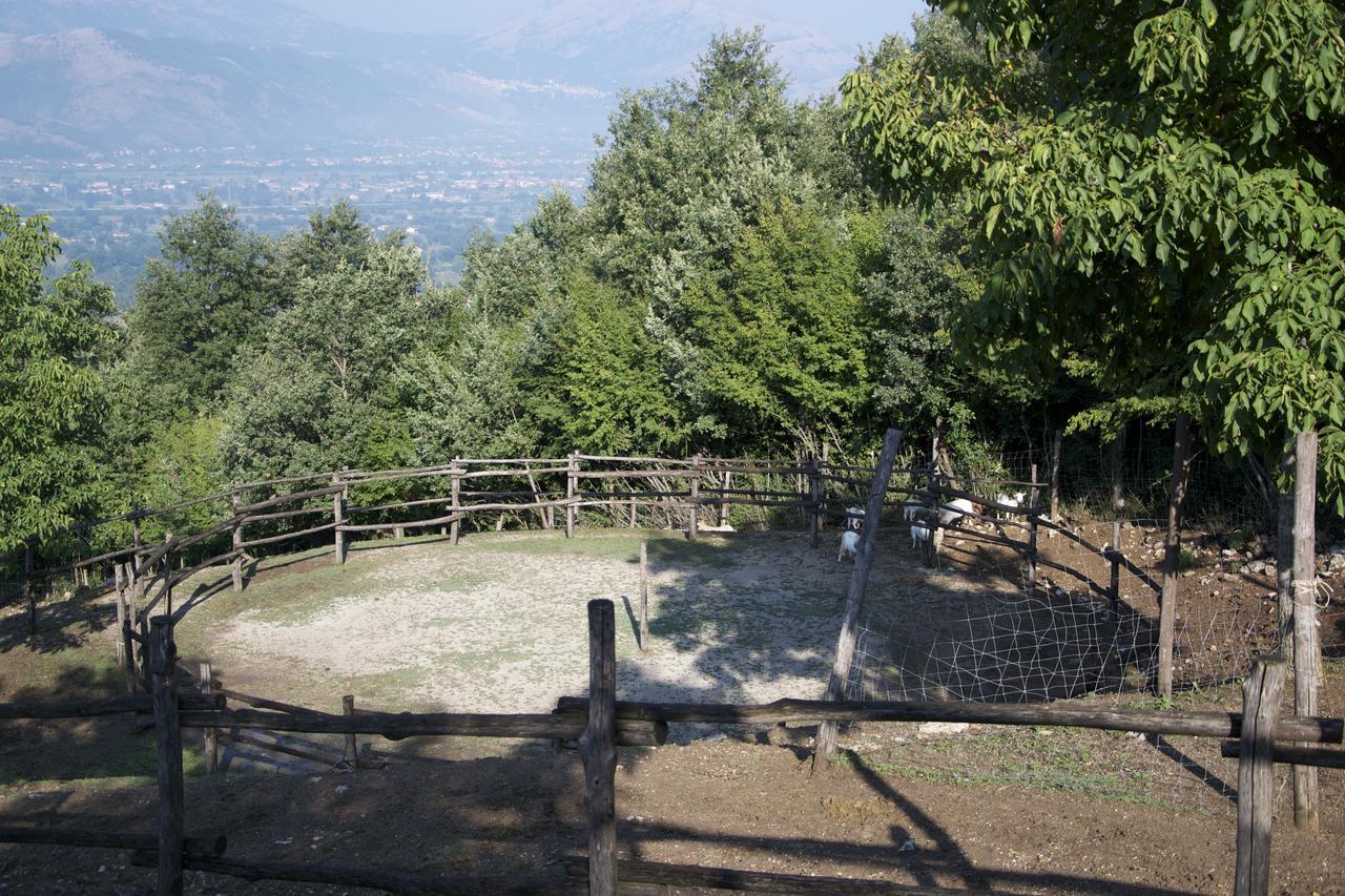 Fattoria Alvaneta Padula Exteriör bild