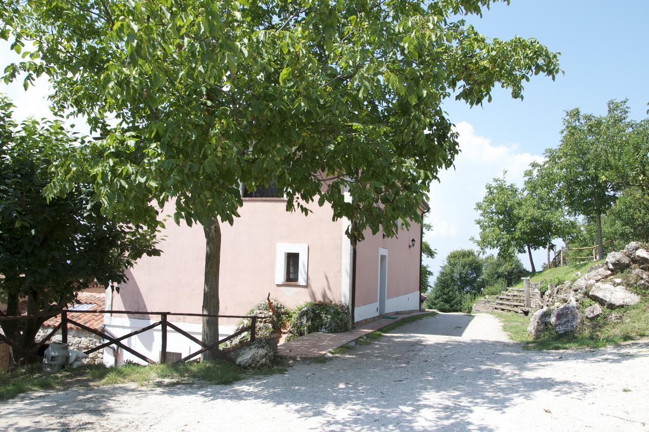 Fattoria Alvaneta Padula Exteriör bild
